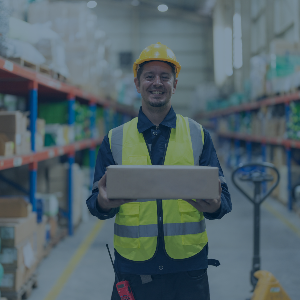 WAREHOUSE MANAGER